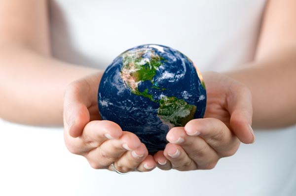 SEO Globe